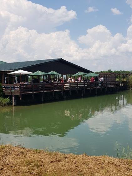 Teren privat cu amenajari ptr evenimente,cazare și pescuit sportiv. - 5