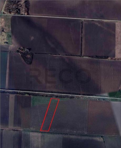 RECO Teren extravilan 9000mp zona Bors - 1