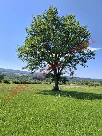 De vânzare teren intravilan de 7.600 m² situat în Sovata, pe strada Alunei (Mogy - 8