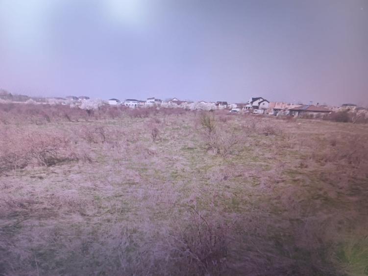 Teren Intravilan de vanzare-Strada Livezii-Sector 5 Bucuresti - 2