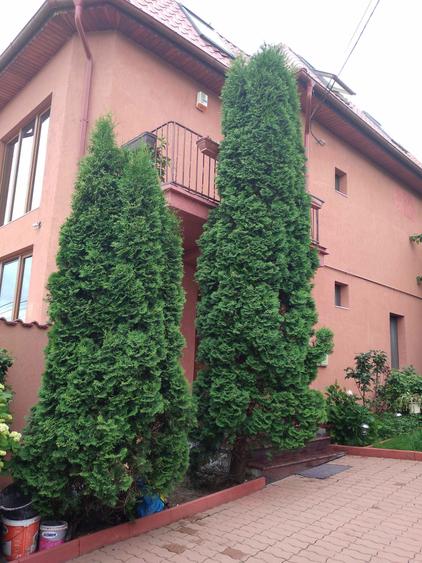 Vila cu6 dormitoare - 6