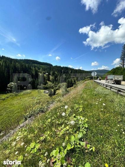 Teren intravilan de vanzare, 6941 mp, zona Mestecanis - 4