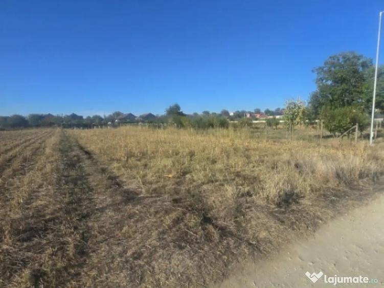 Teren 1000mp ,la intrarea in Filiasi - 2