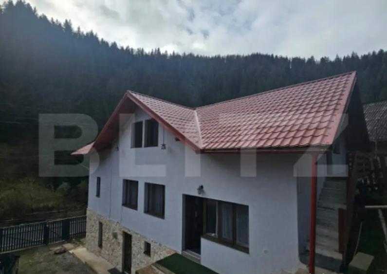 Lini?te, Natura ?i Spa?iu Casa Ideala cu 6 camere, - 17