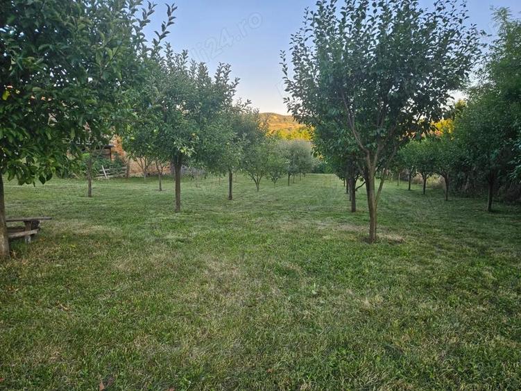 Vand teren intravilan, 950mp in sat Topircea jud. Sibiu - 8