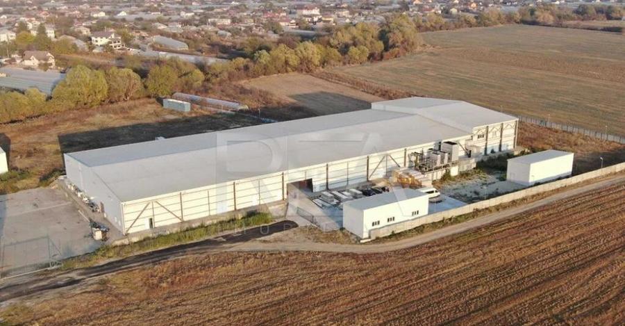 Hala temperatura controlata | Depozitare/Productie | Vidra\C - 5