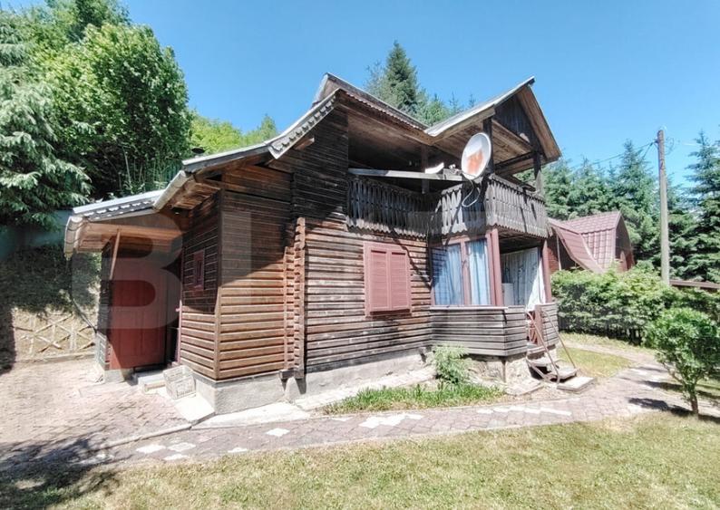 Cabana 5 camere Salard - 16