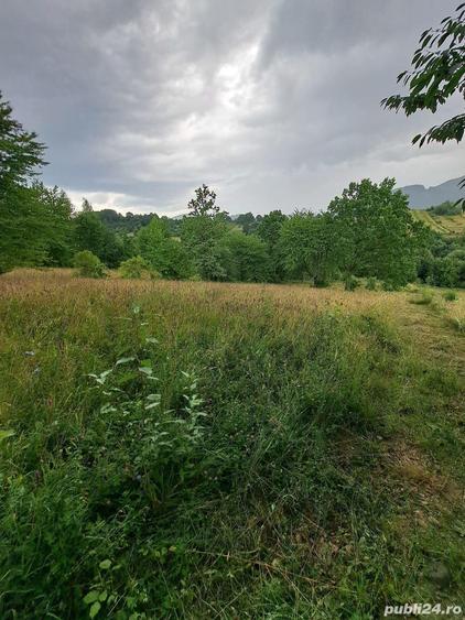 Teren intravilan 1000 mp - 9