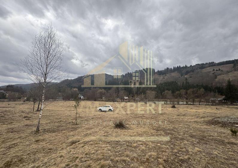 TEREN INTRAVILAN 500 MP SATIC- RUCAR - 1