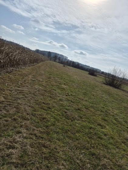 Teren premium intravilan Dealul Gro?ilor, Baia Mare - 1