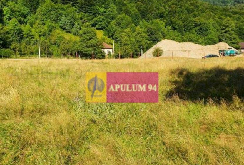 Teren Jude?ul Valcea - Brezoi, Valea lui Stan - 16