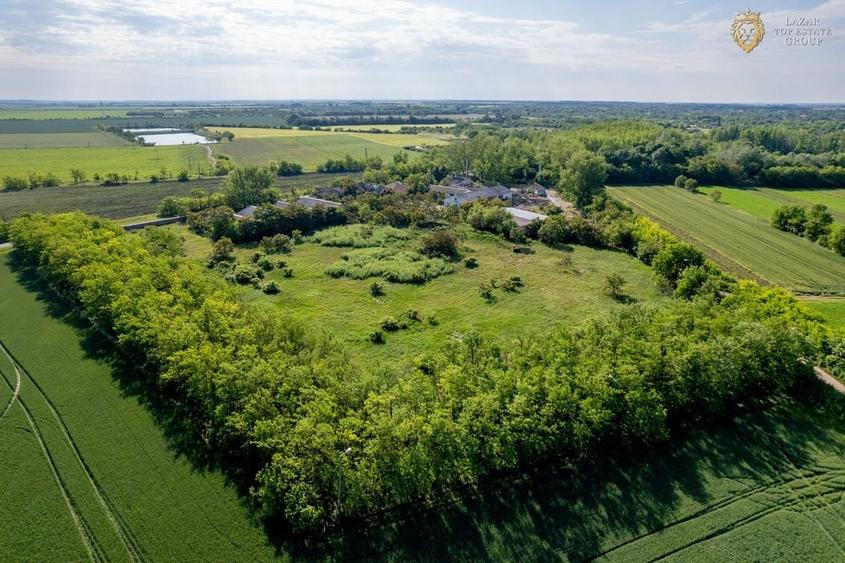 Cladire industriala de vanzare cu potential 3,5 ha in Batania - 22