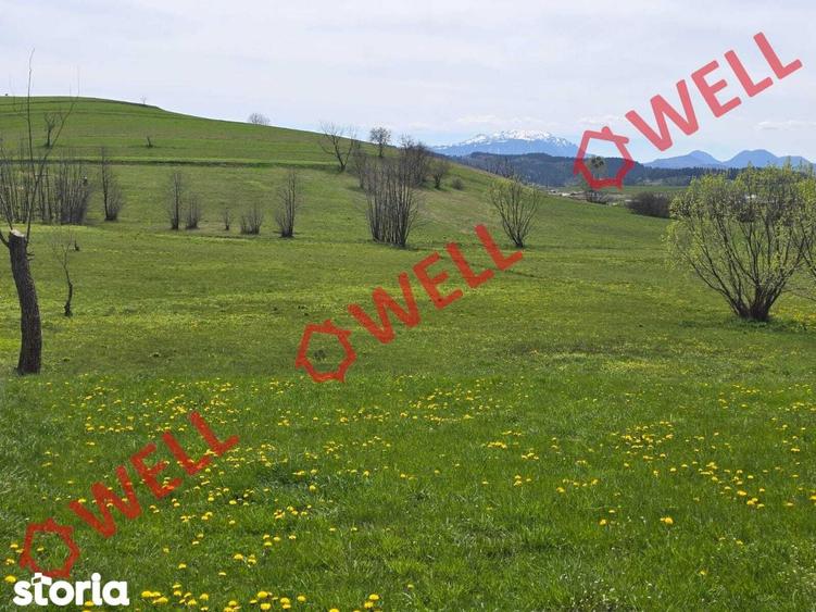 De vanzare teren extravilan in Sarama?! - 2
