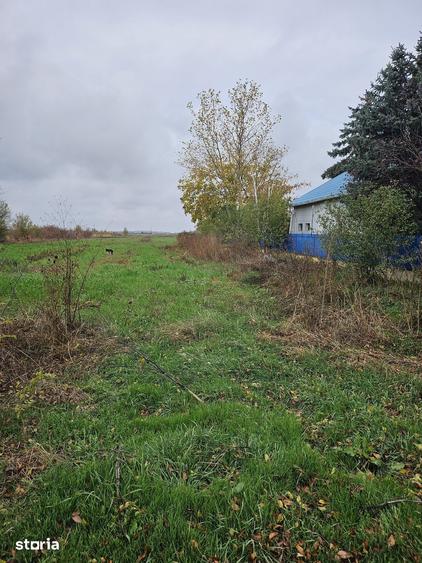 Teren de 18469 mp, în Butimanu
