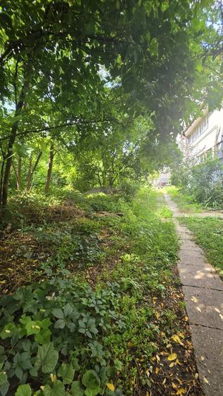 Teren Construcții intravilan de 250 mp, în Băneasa