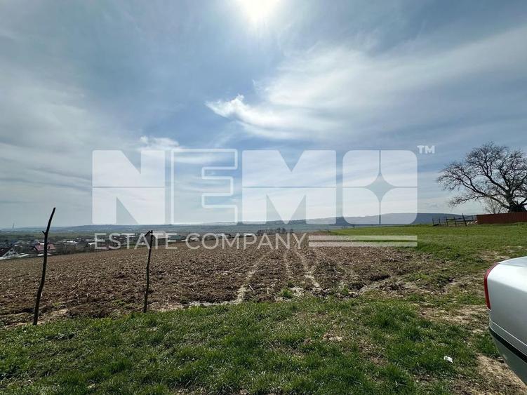 Teren de 3900 mp, în Pătrăuți