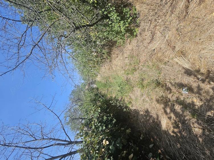 Casă cu 3 camere cu Teren 10000 Mp în Castranova