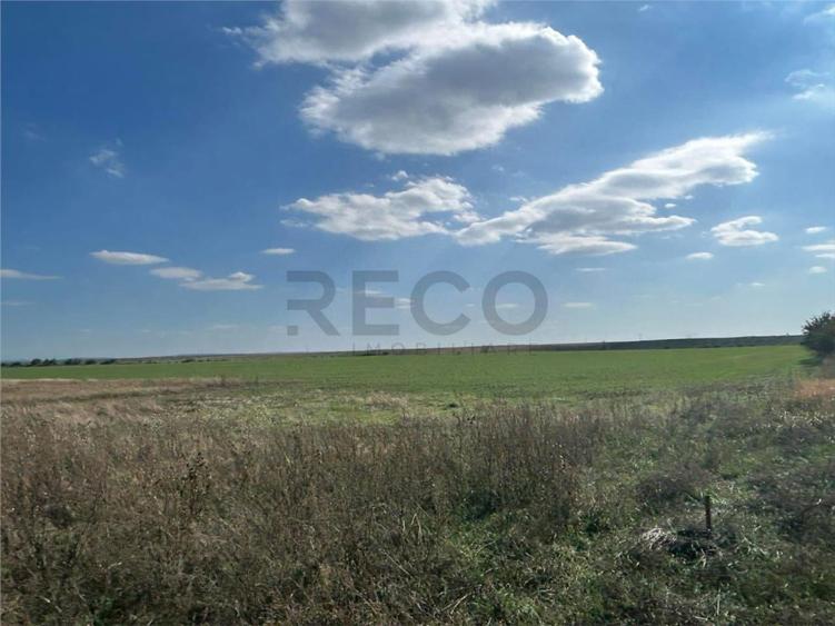 RECO Oportunitate teren 25000mp Santandrei - 2