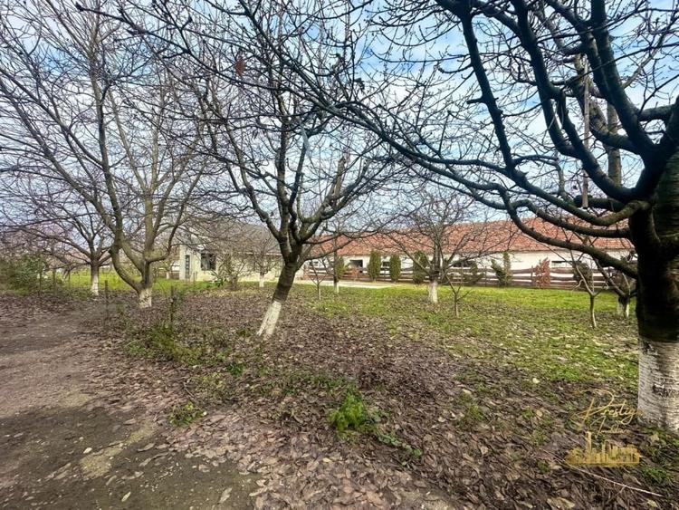 Domeniu - Centru de colectare, 7 ha de vanzare in Valea lui Mihai - 51