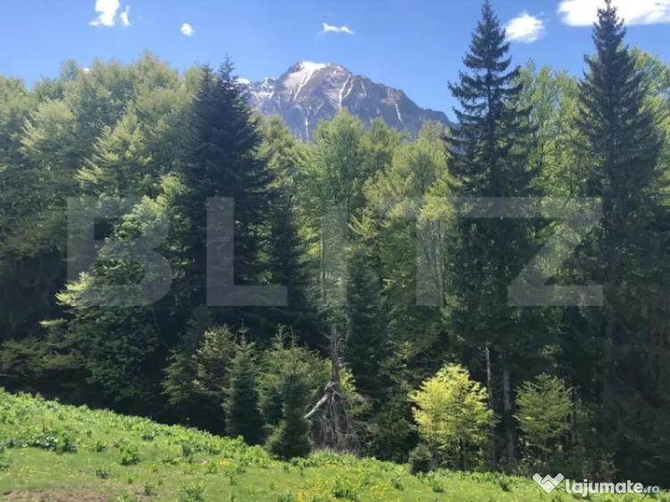 De vanzare, teren intravilan 5.500mp, Predeal - 9