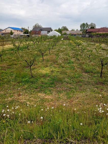 Casa de vanzare la 25 de km de Slatina Olt - 2
