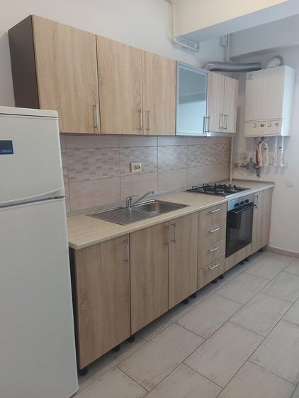 Berceni, Dimitrie Leonida Metrou - 3
