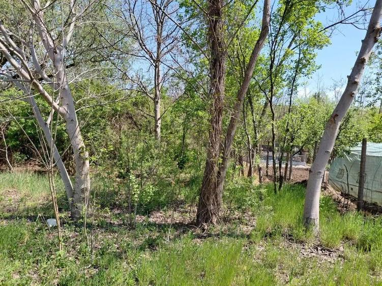 Teren intravilan 3.250 mp in File?ti Ideal pentru casa sau investi?ie! - 10