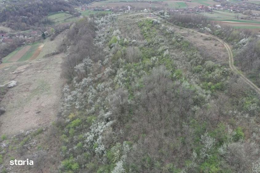 Teren 8114 mp lupoaia holod livada cf+topo acces auto aproape de sat - 5