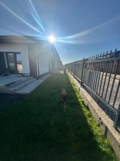 Casa de vanzare Clinceni - 4