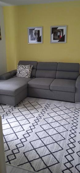 Apartament 2 camere onesti - 6