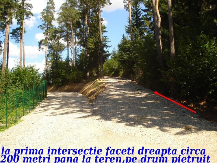 Parcele de vis cu utilități și panoramă impresionantă! - 3