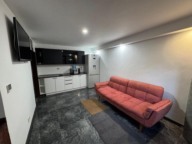 Inchiriere casa P+1 pet friendly curte comuna Cotroceni Medicina - 17