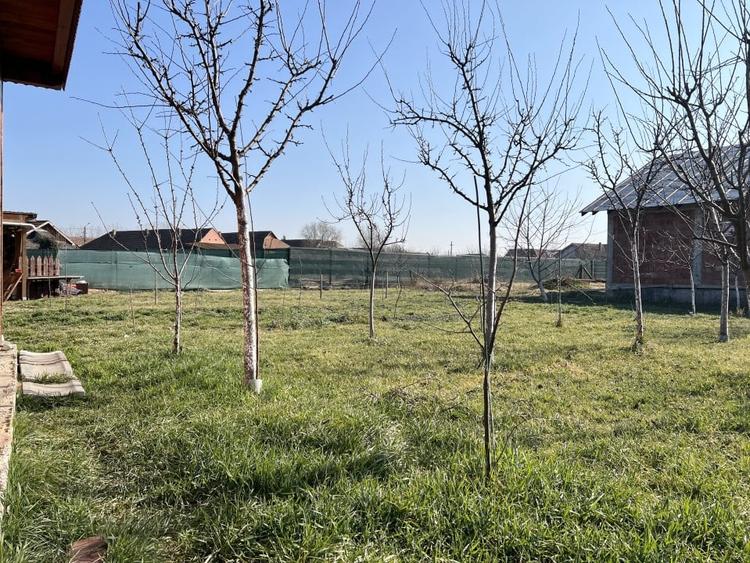 Casa Individuala, 115mp utili, 1170mp teren, terasa 40mp, situat in Sacalaz - 15