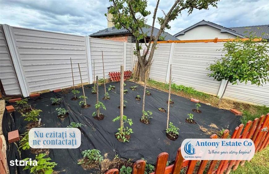 Antony Estate | Vanzare Emberlyn House - Santandrei - 1