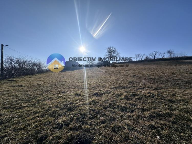 Teren intravilan DOBRENI - 11