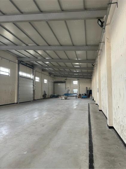 Inchiriez hala depozitare productie - 6