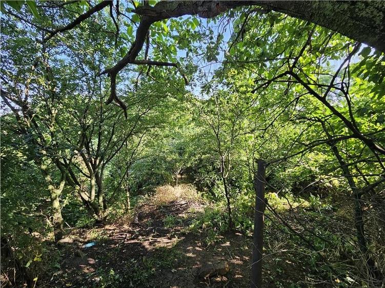 Casa la curte cu teren 646mp in Chiajna - 3