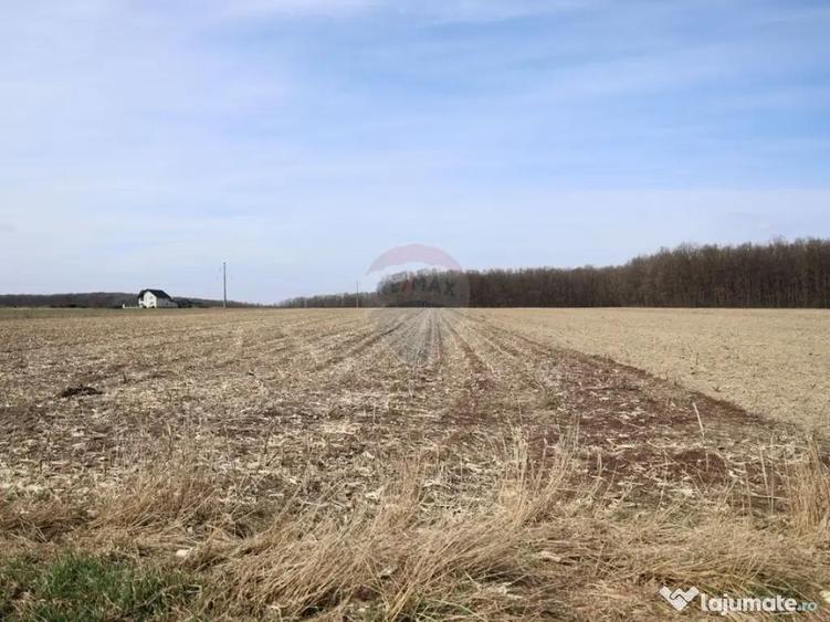 Teren 9,740mp Suceava / Strada Principala - 4
