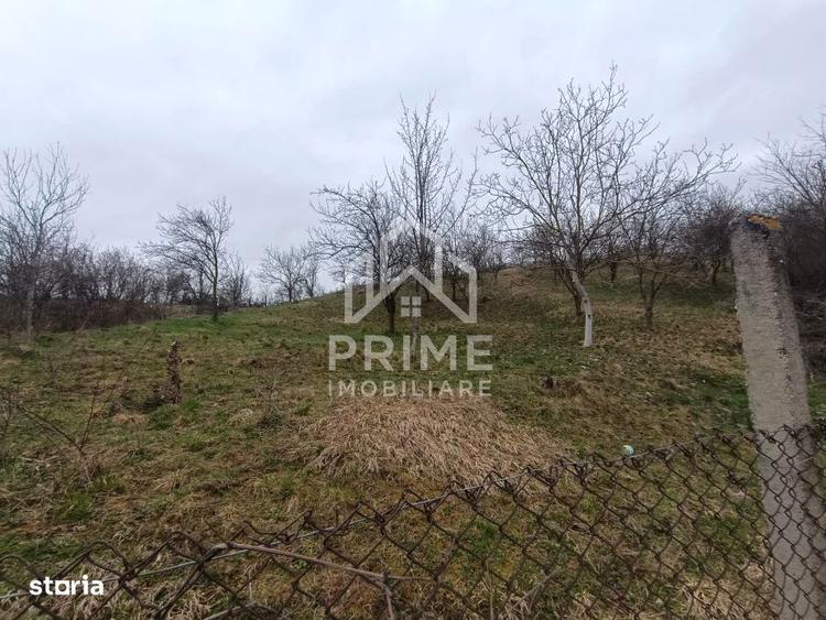 Casa renovabila cu livada 3000 mp | Utilitati | Tibru, Alba - 4