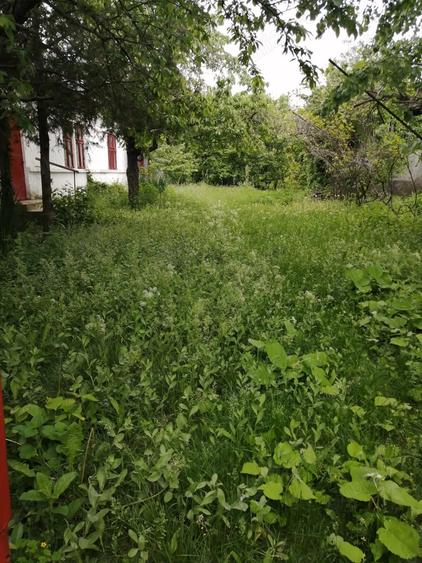 Casa in Tariceni, jud. Prahova - 5