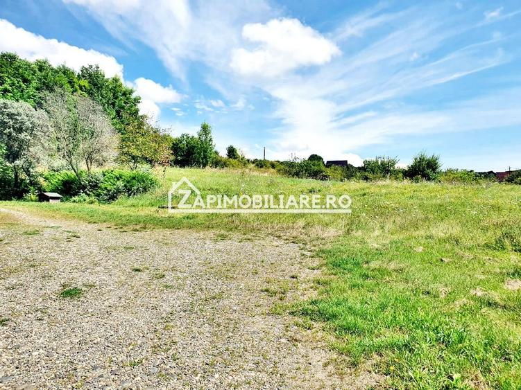 Teren intravilan 3.000 mp.cu deschidere de 40 m la E60 - 4