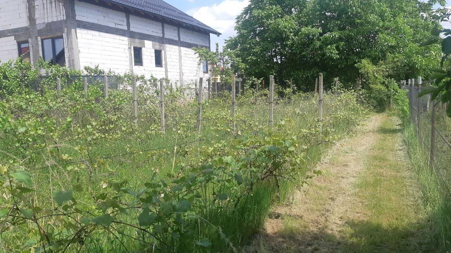 958 m2 Intravilan BARIERA VALCI - 2