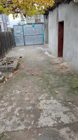 Casa de vanzare Rosiori de vede - 5