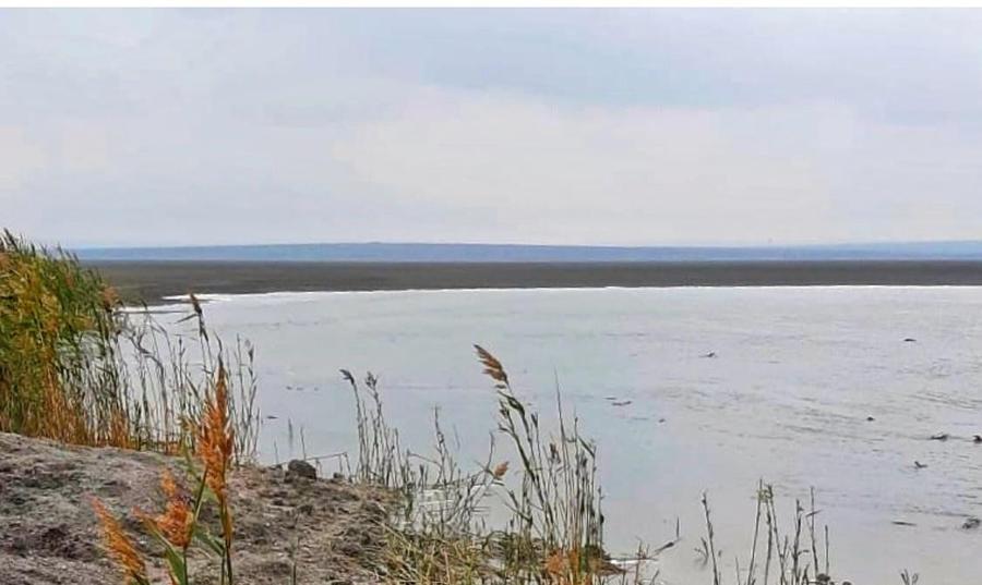 Navodari sat  Nuntasi  Vanzare Teren Extravilan 10 500mp( 15eur/mp) - 4