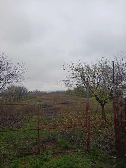 Casa cu teren de vanzare in comuna Verguleasa, judetul Olt - 5