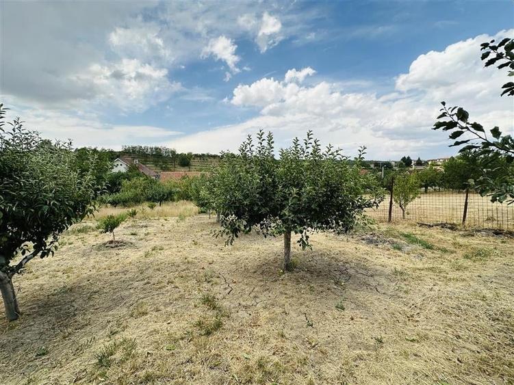 CASA P+M | TEREN 2200 MP | STRADA SOFIEI | ZONA DEALURI - 21