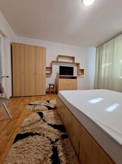 Garsoniera Titan - Constantin Brancusi - 5