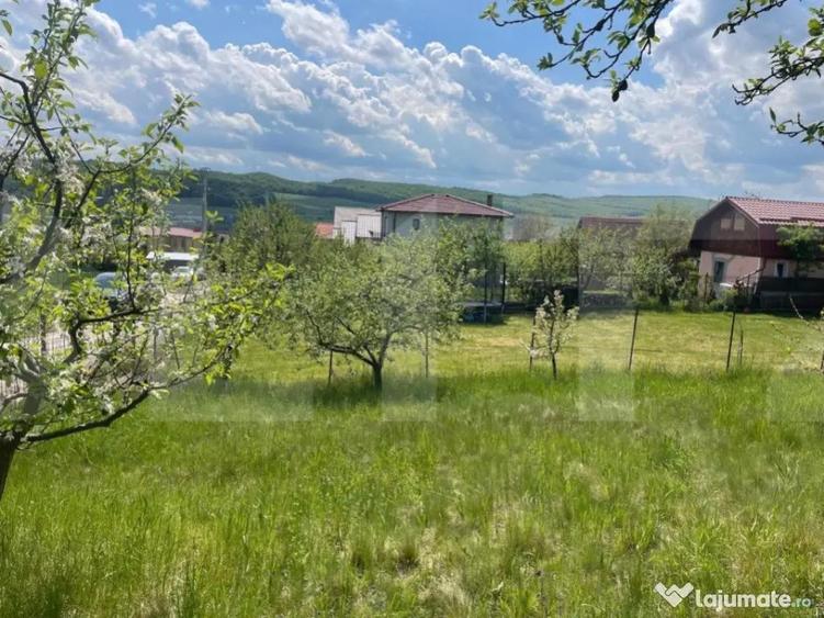 Investitie ! Teren intravilan,494 mp, front 14 m,cart Dambu - 6