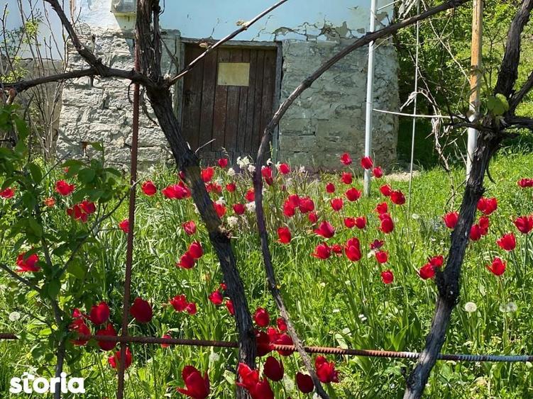 Casa demolabila cu teren de vanzare in Breaza - 11