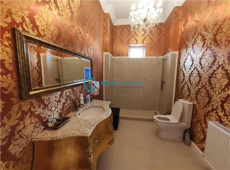 Royal Imobiliare -vanzari vile zona Ultracentral - 18